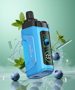 Blauwe Bes IJs Razz Bar 45000 Inhalaties Aanpasbare Luchtstroom