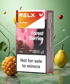 Bosbessen RELX Pod Pro 2 600 Puffs Nicotinevrij 2 pods/pack