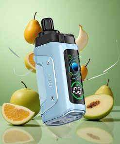 Liefde 66 Razz Bar 45000 Puffs Type-C Oplaadbaar Mesh Coil