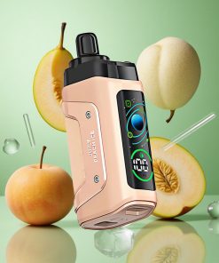 Sappige Perzik IJs Razz Bar 45000 Puffs Herbruikbare met Aanpasbare Luchtstroom en Type-C Oplaadbaar